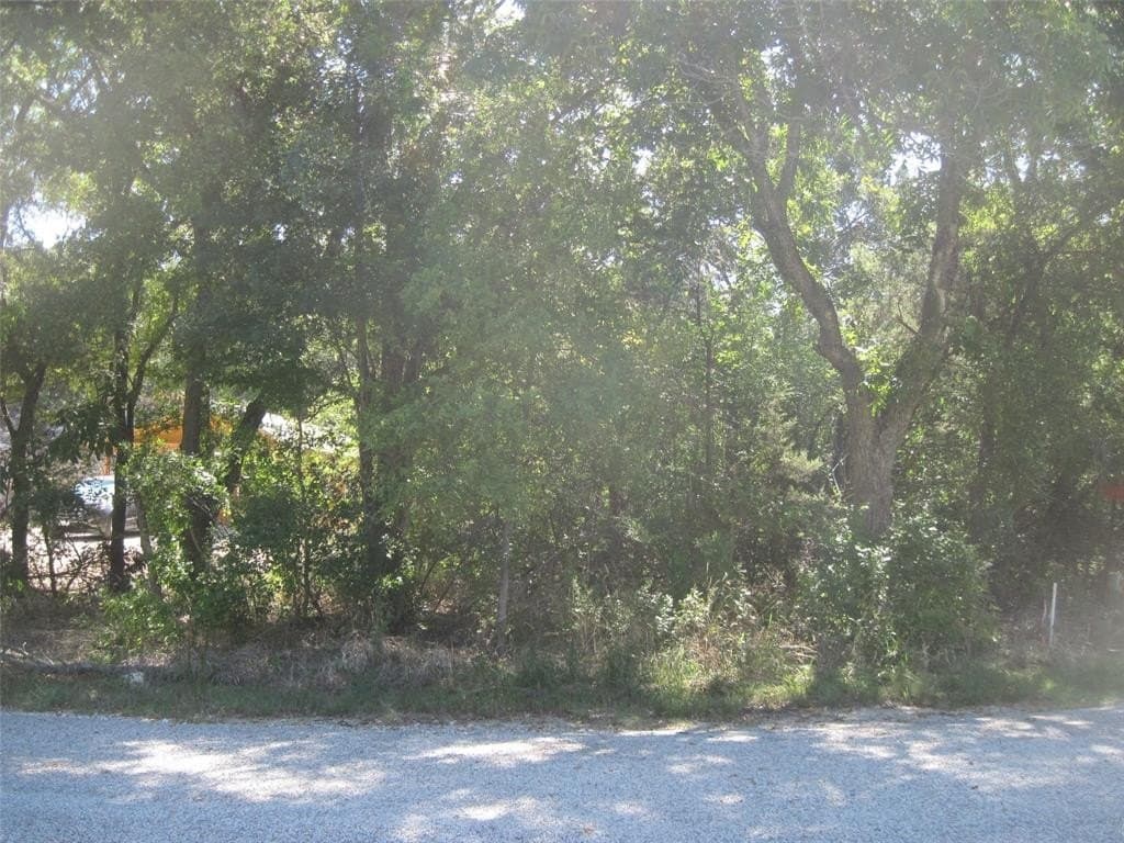 0.23 acres in Hood County gallery image 4