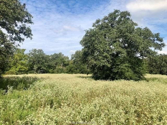 45.02 acres in Burleson County - photo 10