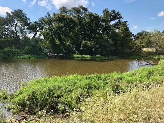 45.02 acres in Burleson County gallery image 4