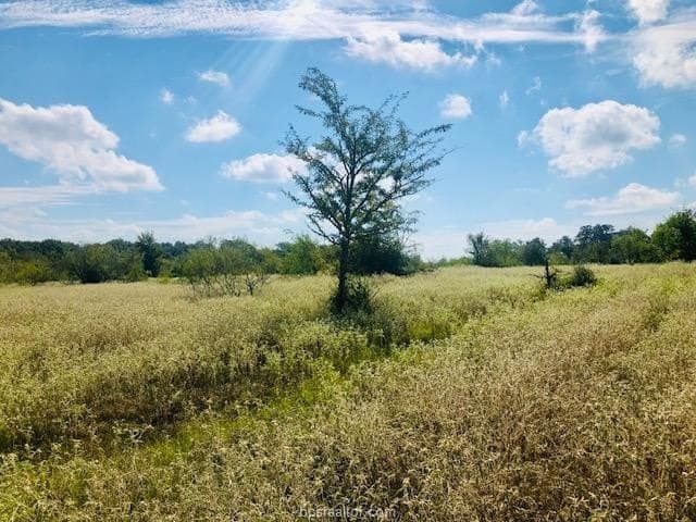 45.02 acres in Burleson County - photo 6