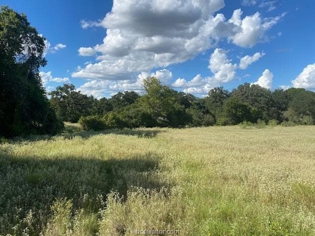 45.02 acres in Burleson County - photo 14