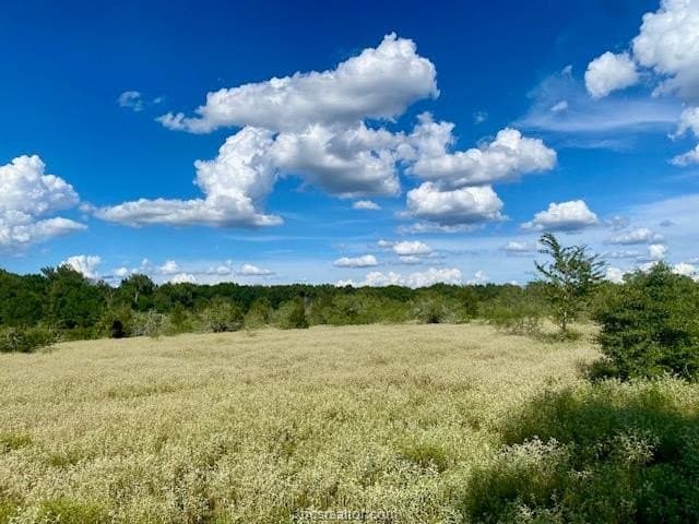 45.02 acres in Burleson County - photo 12