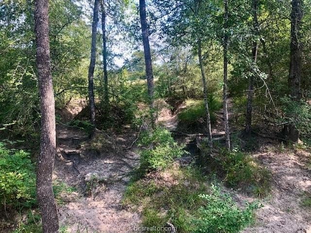 45.02 acres in Burleson County - photo 11