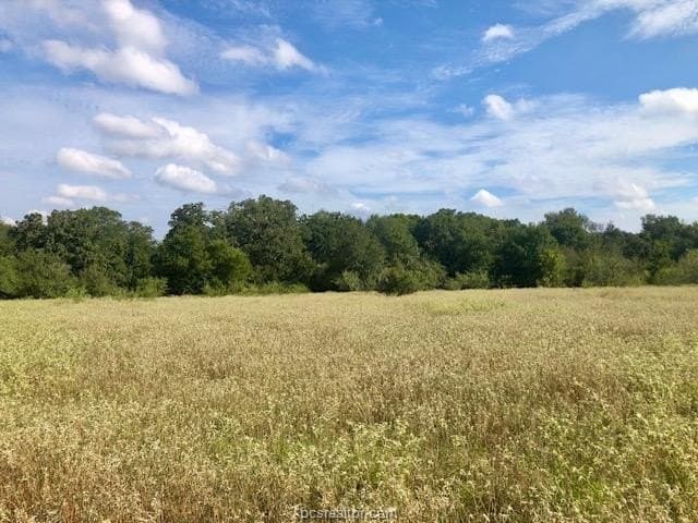 45.02 acres in Burleson County - photo 7