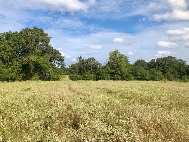 45.02 acres in Burleson County - photo 8