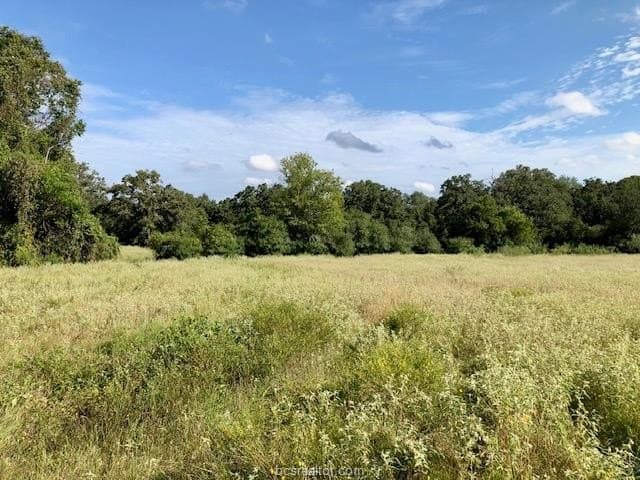 45.02 acres in Burleson County gallery image 3