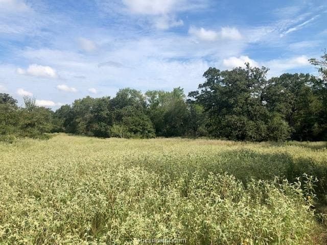 45.02 acres in Burleson County - photo 9