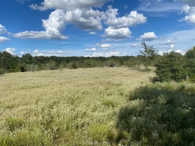 45.02 acres in Burleson County - photo 13