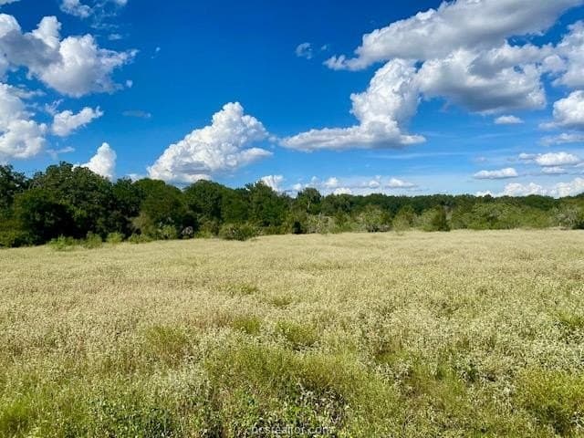 45.02 acres in Burleson County gallery image 2