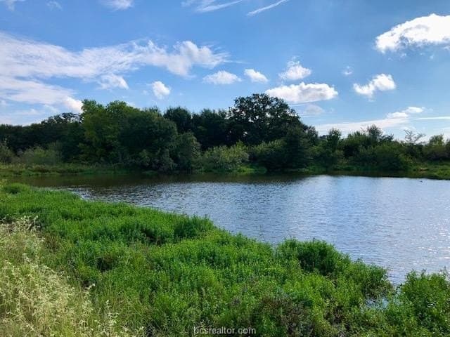 45.02 acres in Burleson County featured view