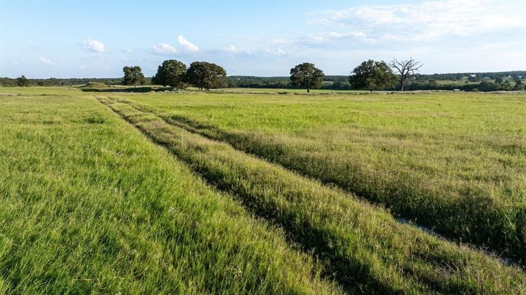 40 acres in Wise County gallery image 3