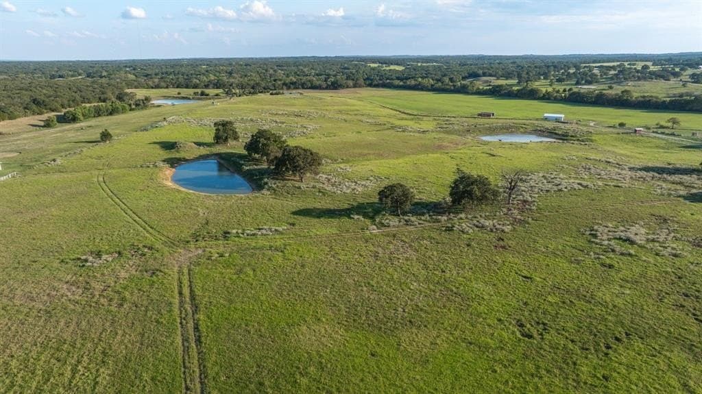 40 acres in Wise County gallery image 4