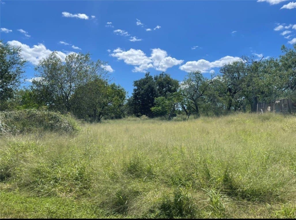 0 acres in Live Oak County