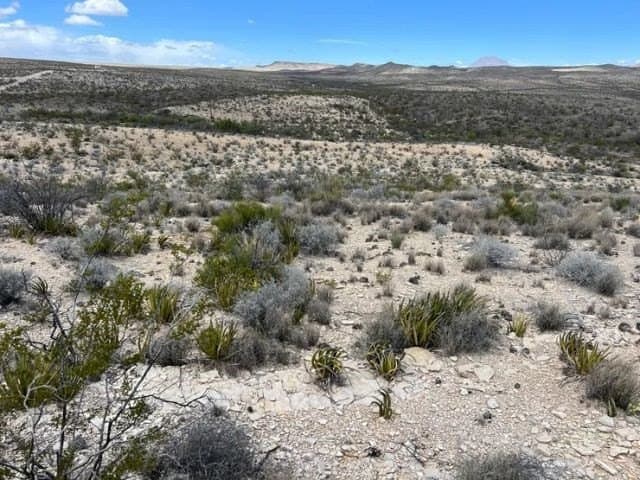 20 acres in Brewster County gallery image 2