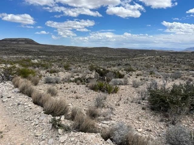 20 acres in Brewster County featured view