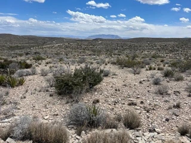 20 acres in Brewster County gallery image 4