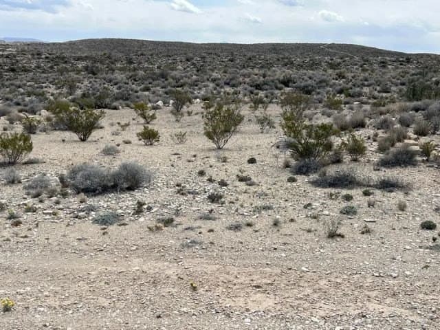 20 acres in Brewster County - photo 8
