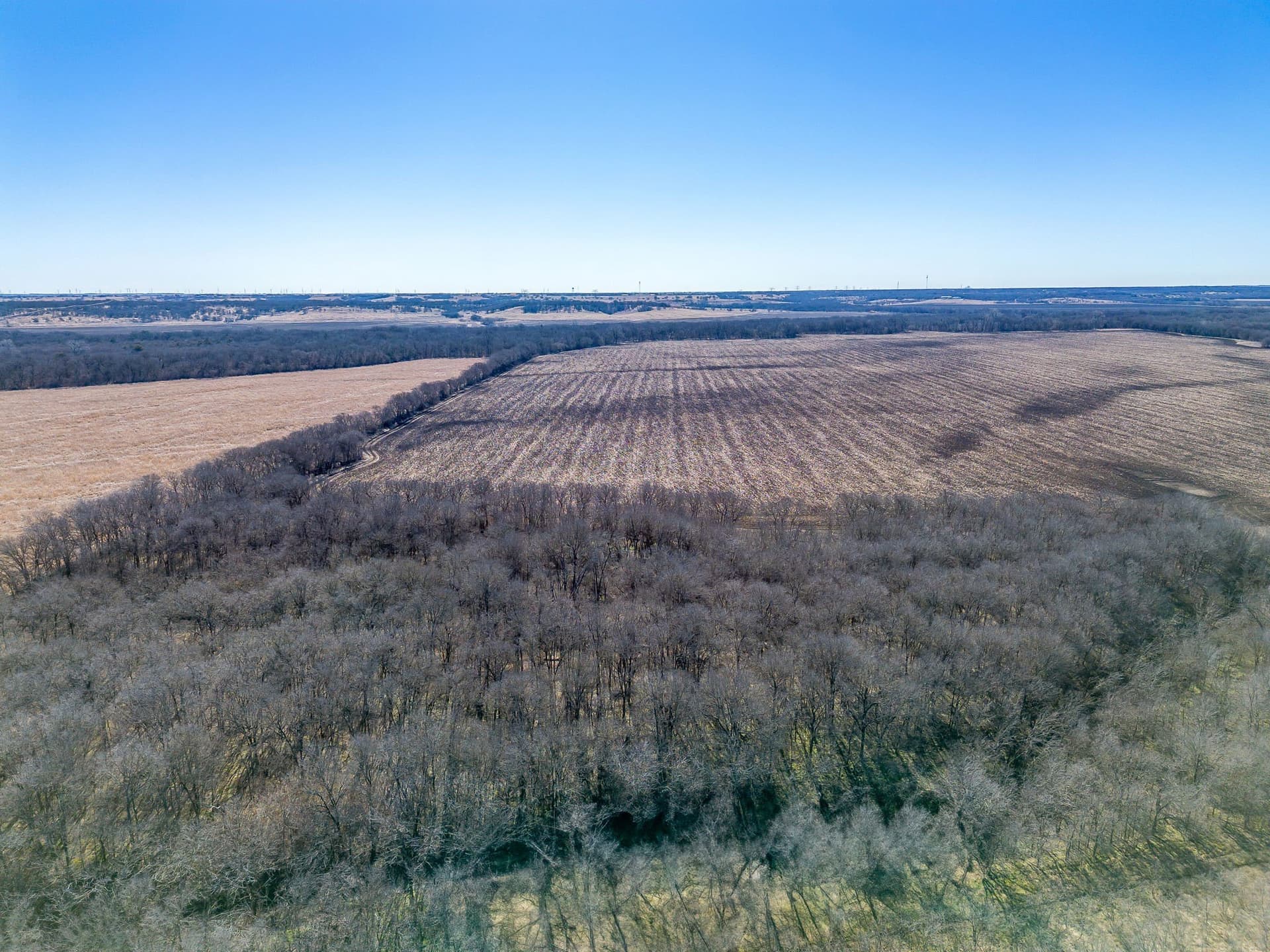 105.5 acres in McLennan County - photo 6