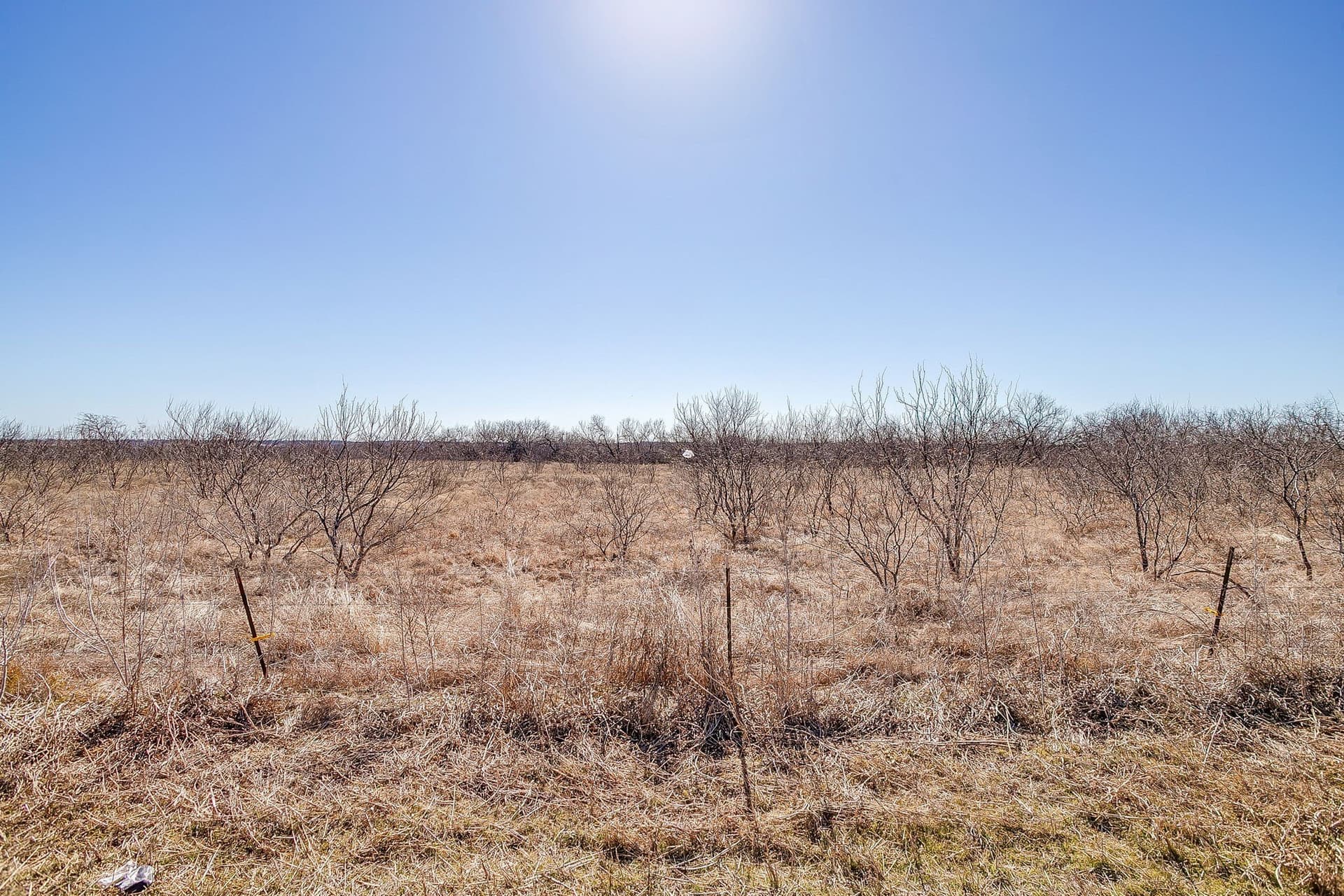 105.5 acres in McLennan County - photo 14