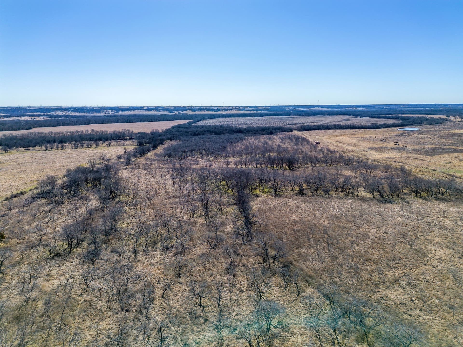 105.5 acres in McLennan County featured view