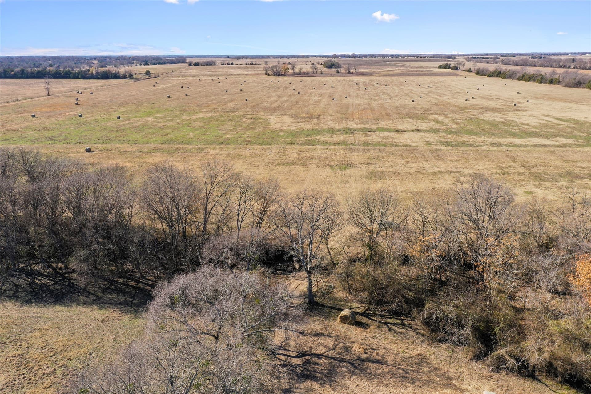 121.5 acres in Lamar County - photo 39