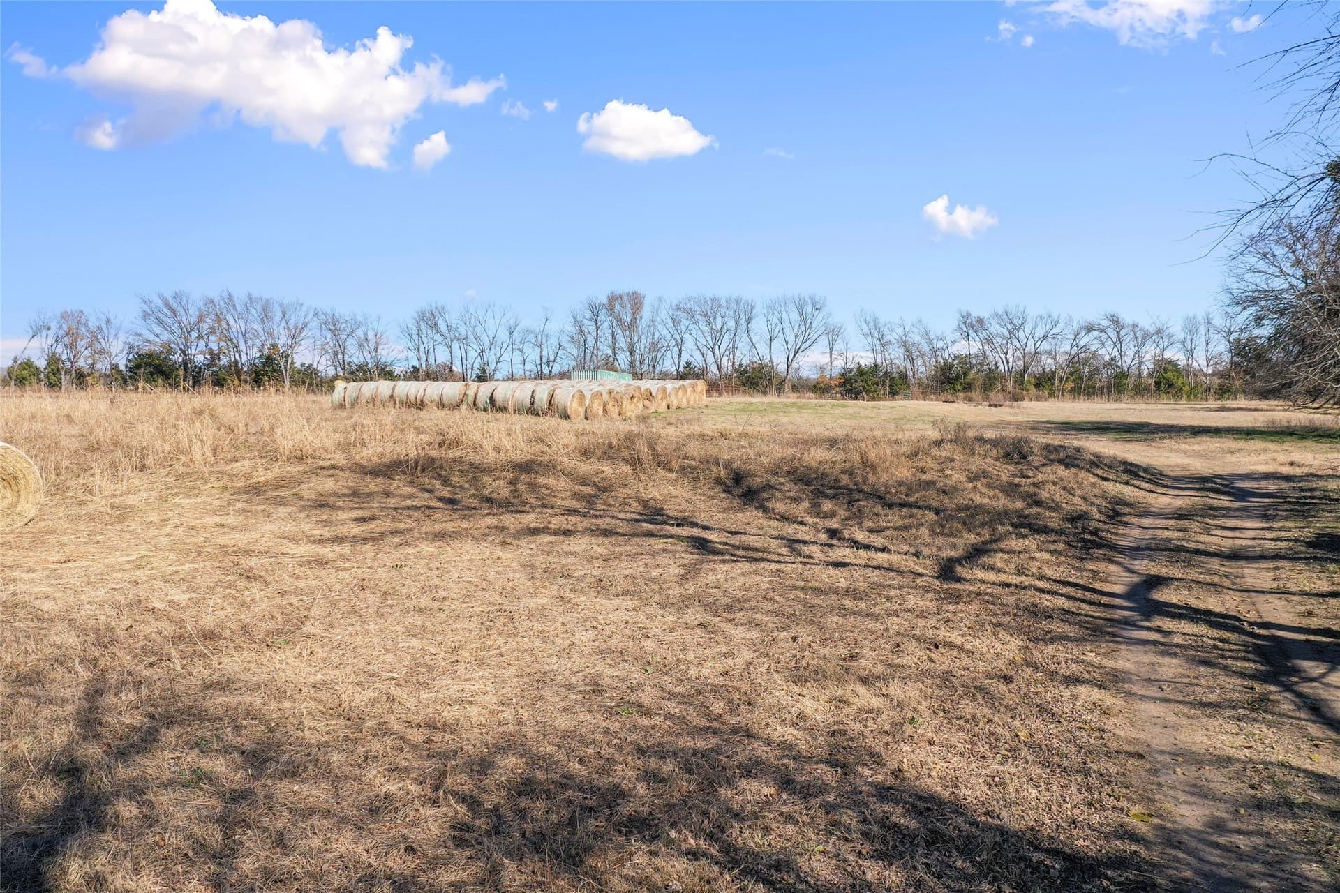 121.5 acres in Lamar County - photo 28