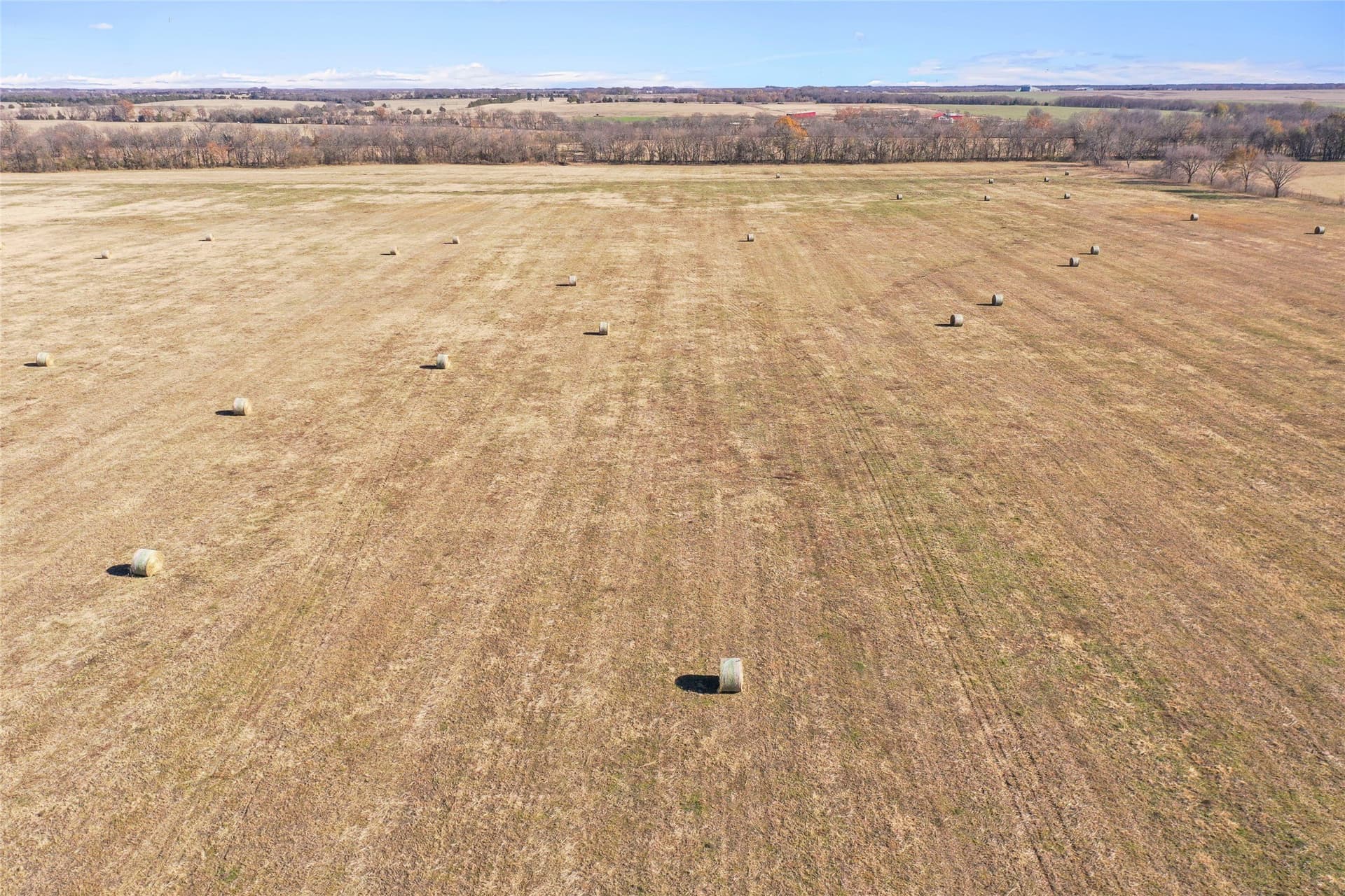 121.5 acres in Lamar County - photo 15