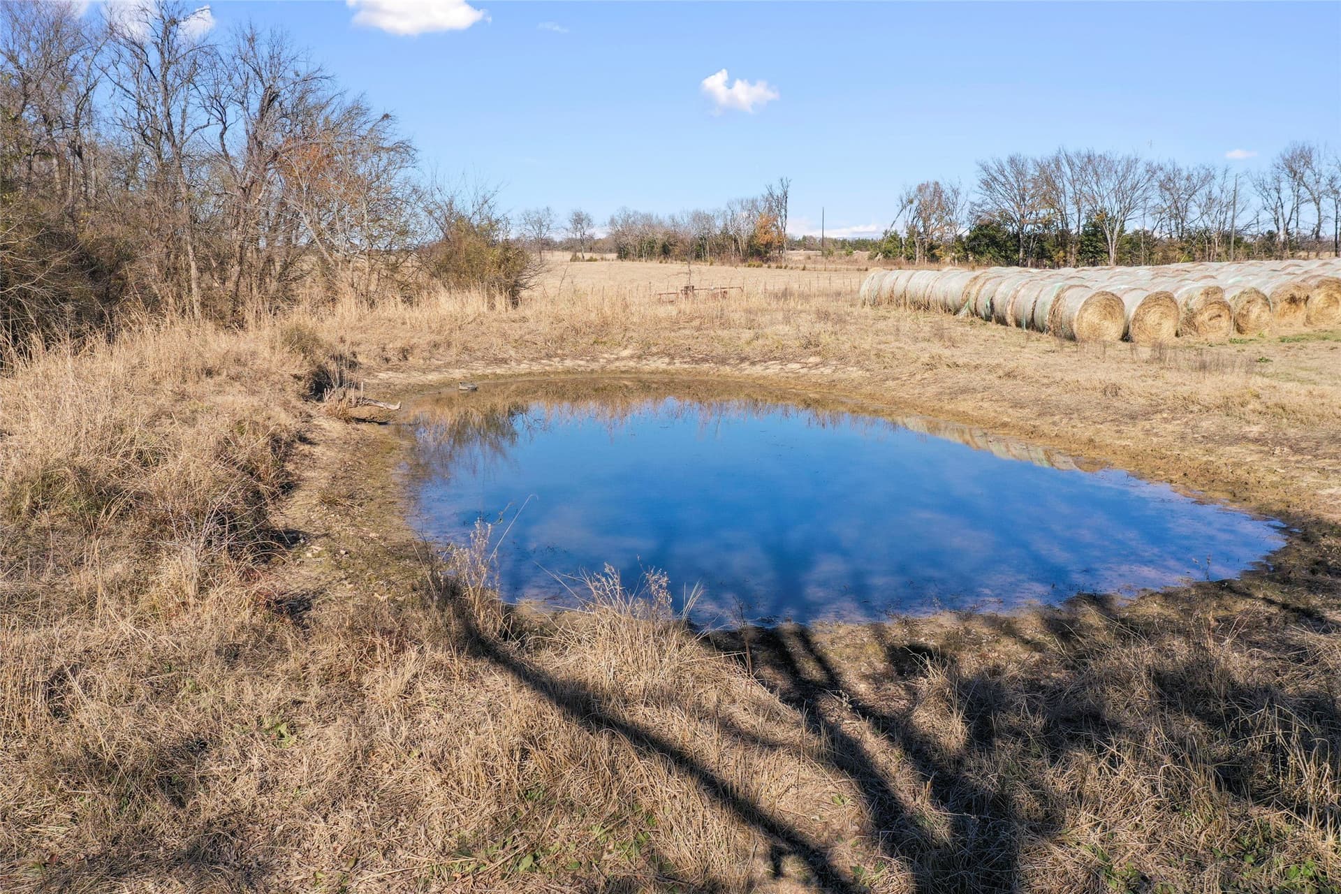 121.5 acres in Lamar County - photo 30