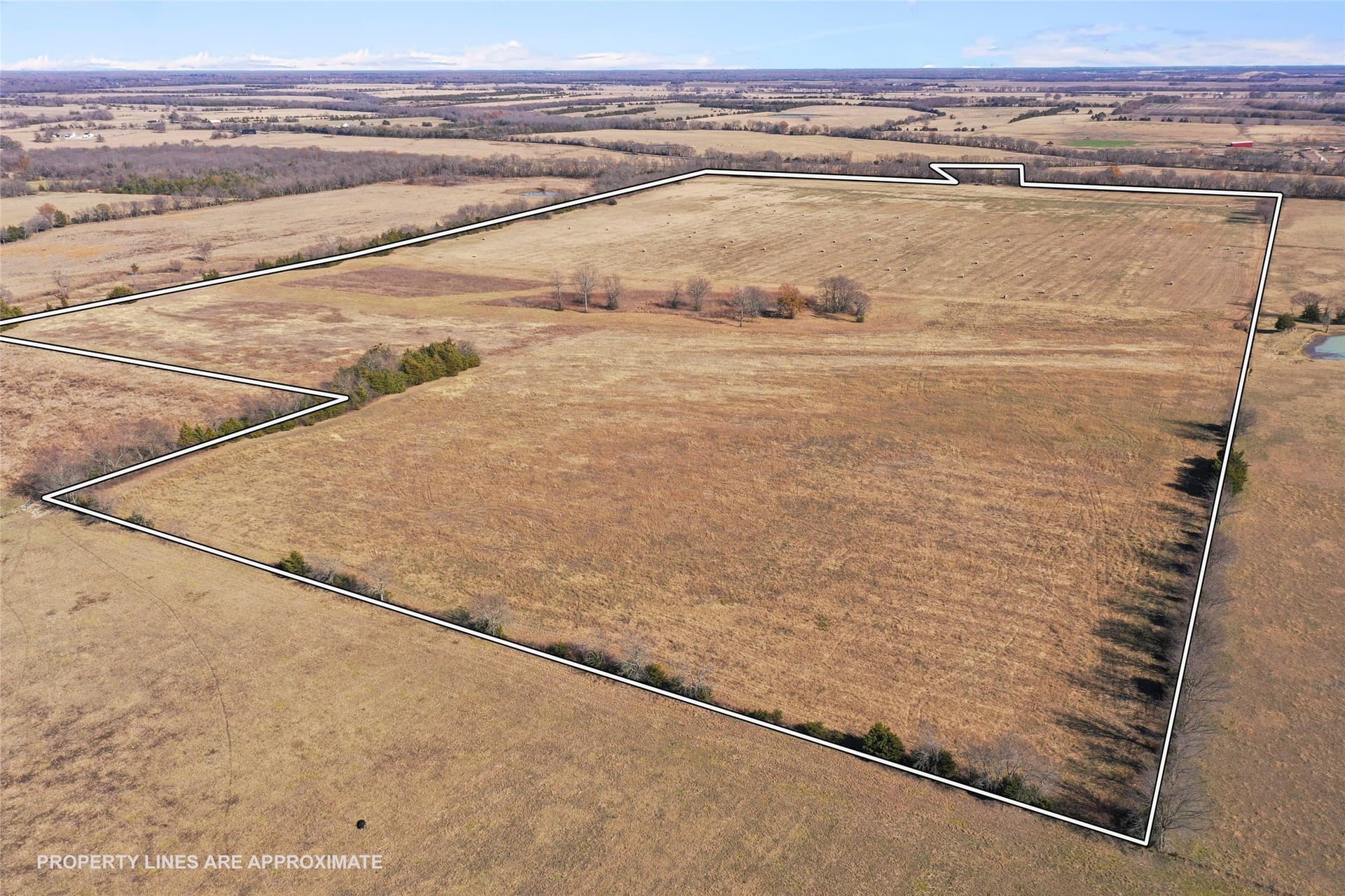121.5 acres in Lamar County - photo 6
