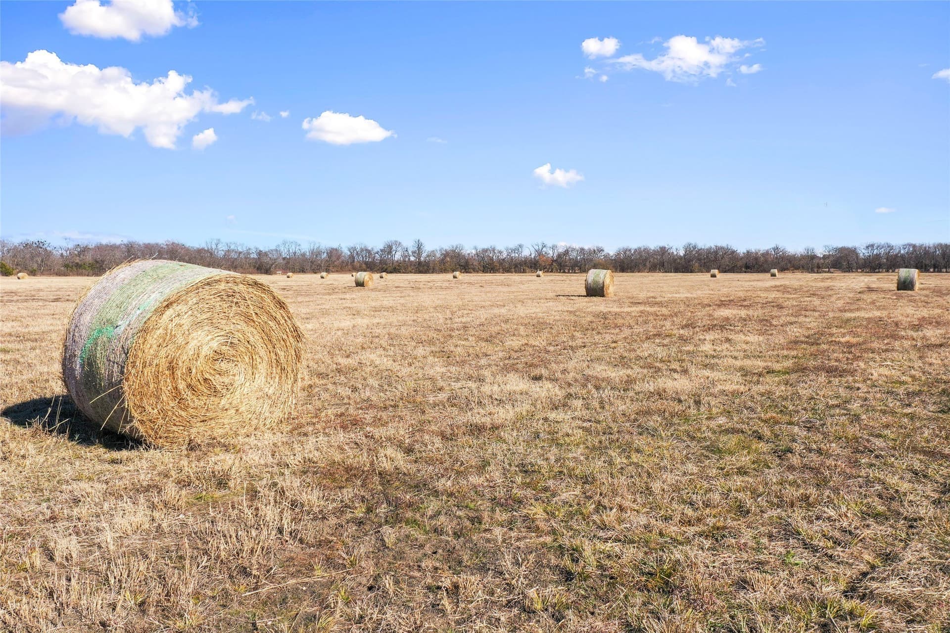 121.5 acres in Lamar County - photo 9