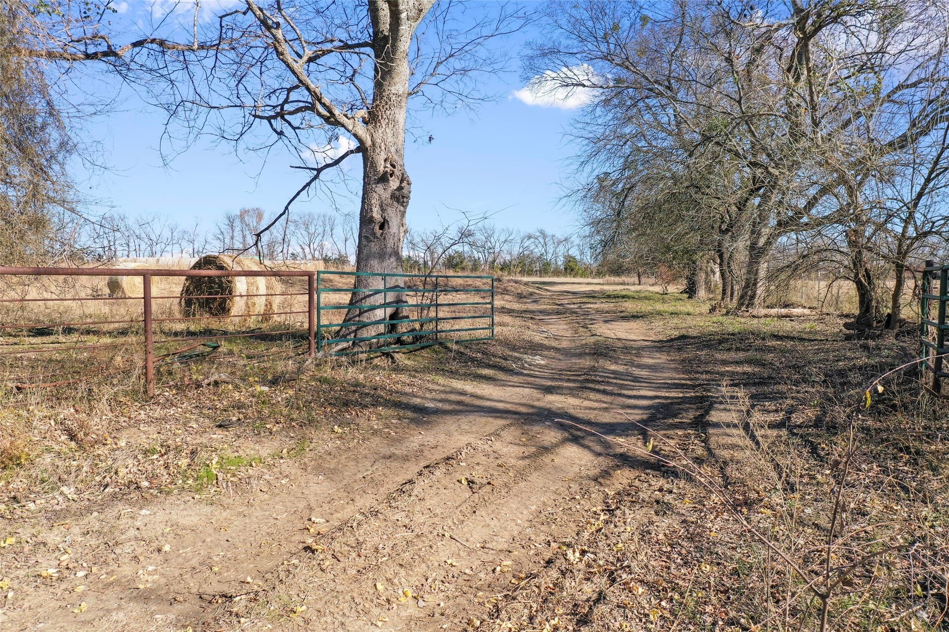 121.5 acres in Lamar County - photo 19