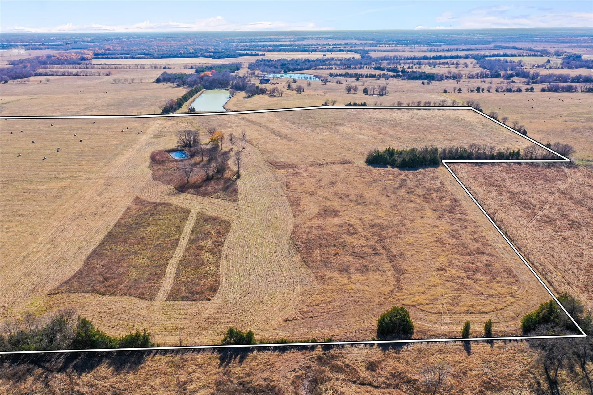 121.5 acres in Lamar County gallery image 4