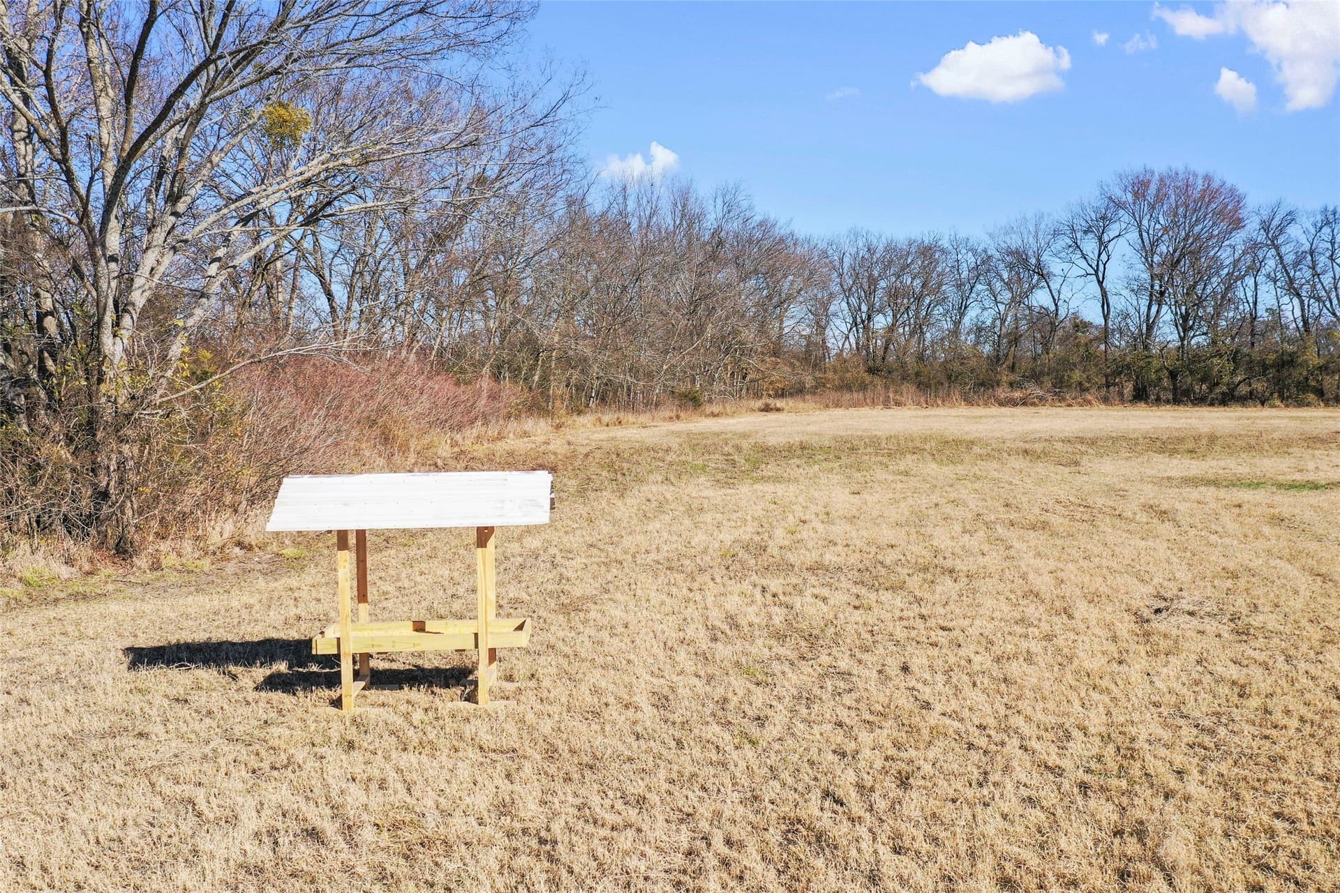 121.5 acres in Lamar County - photo 21