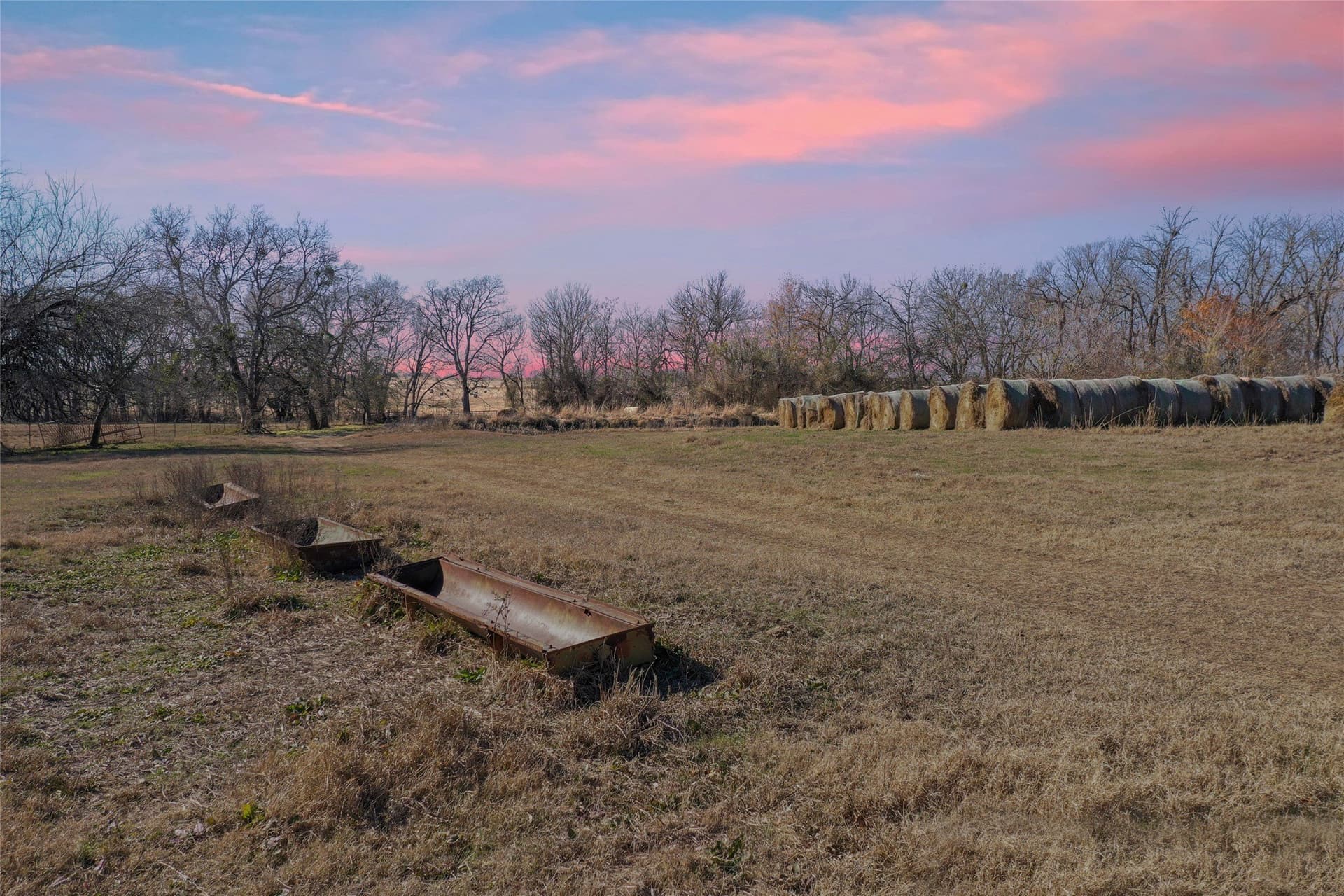 121.5 acres in Lamar County gallery image 2