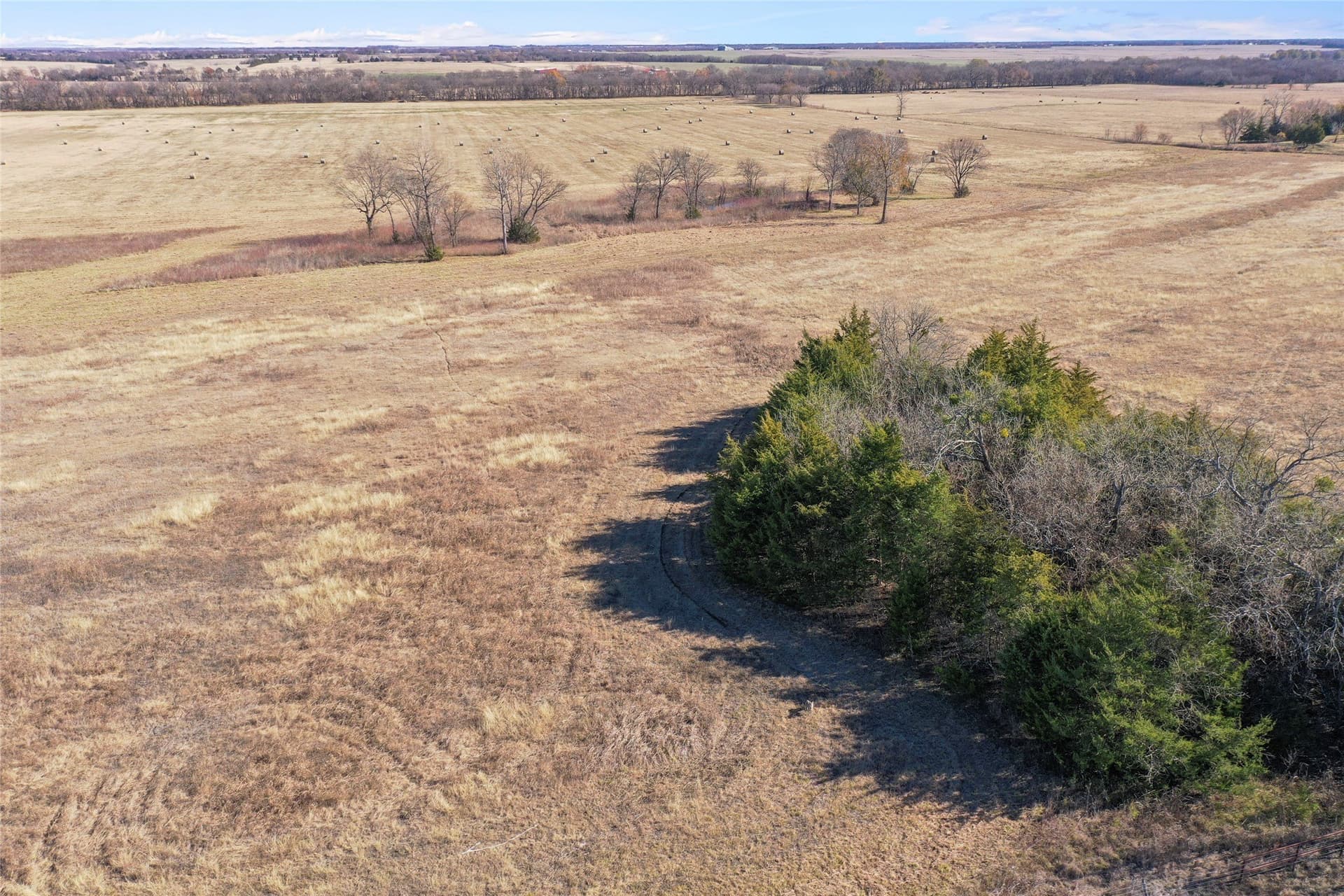 121.5 acres in Lamar County - photo 8