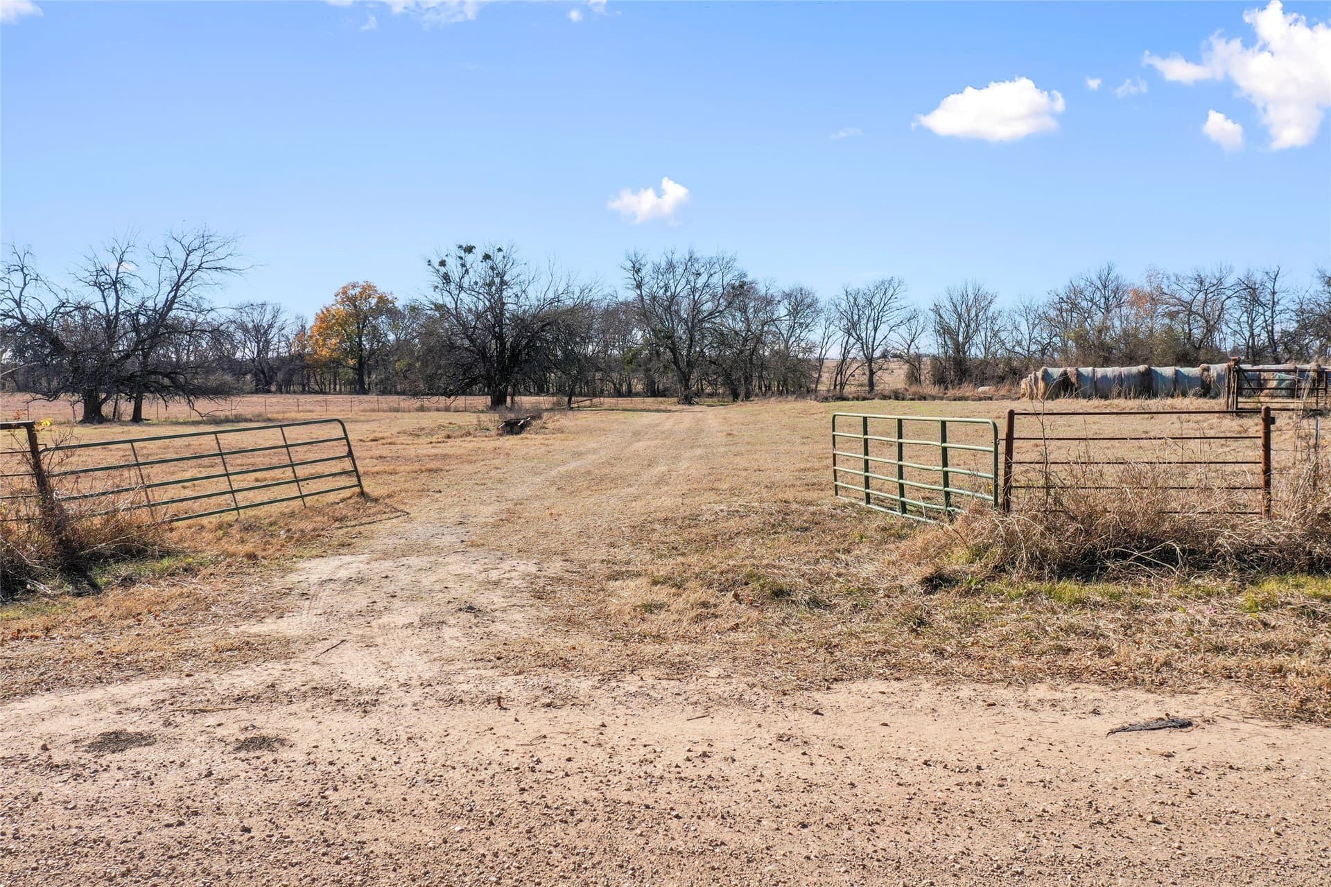 121.5 acres in Lamar County - photo 34