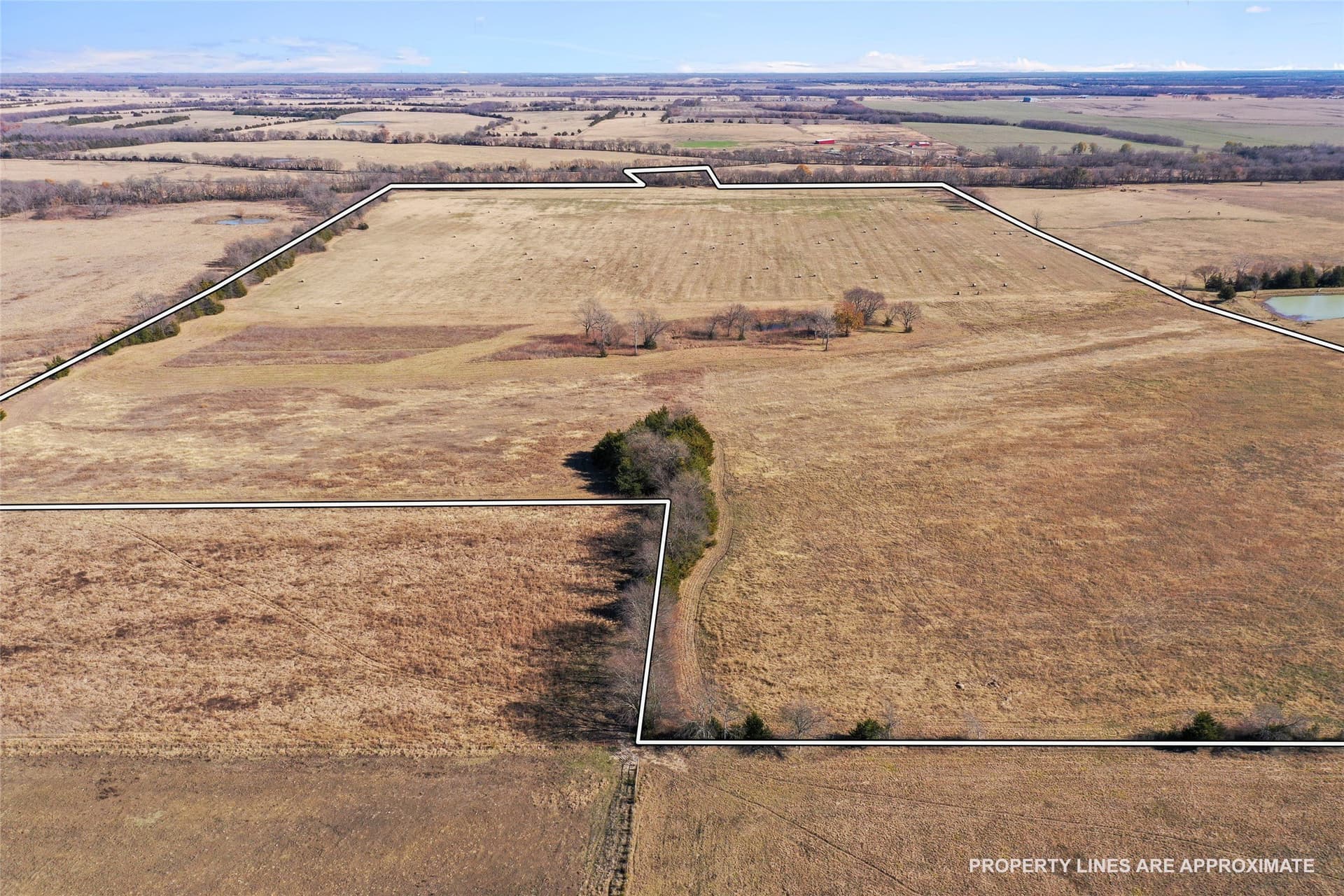 121.5 acres in Lamar County featured view