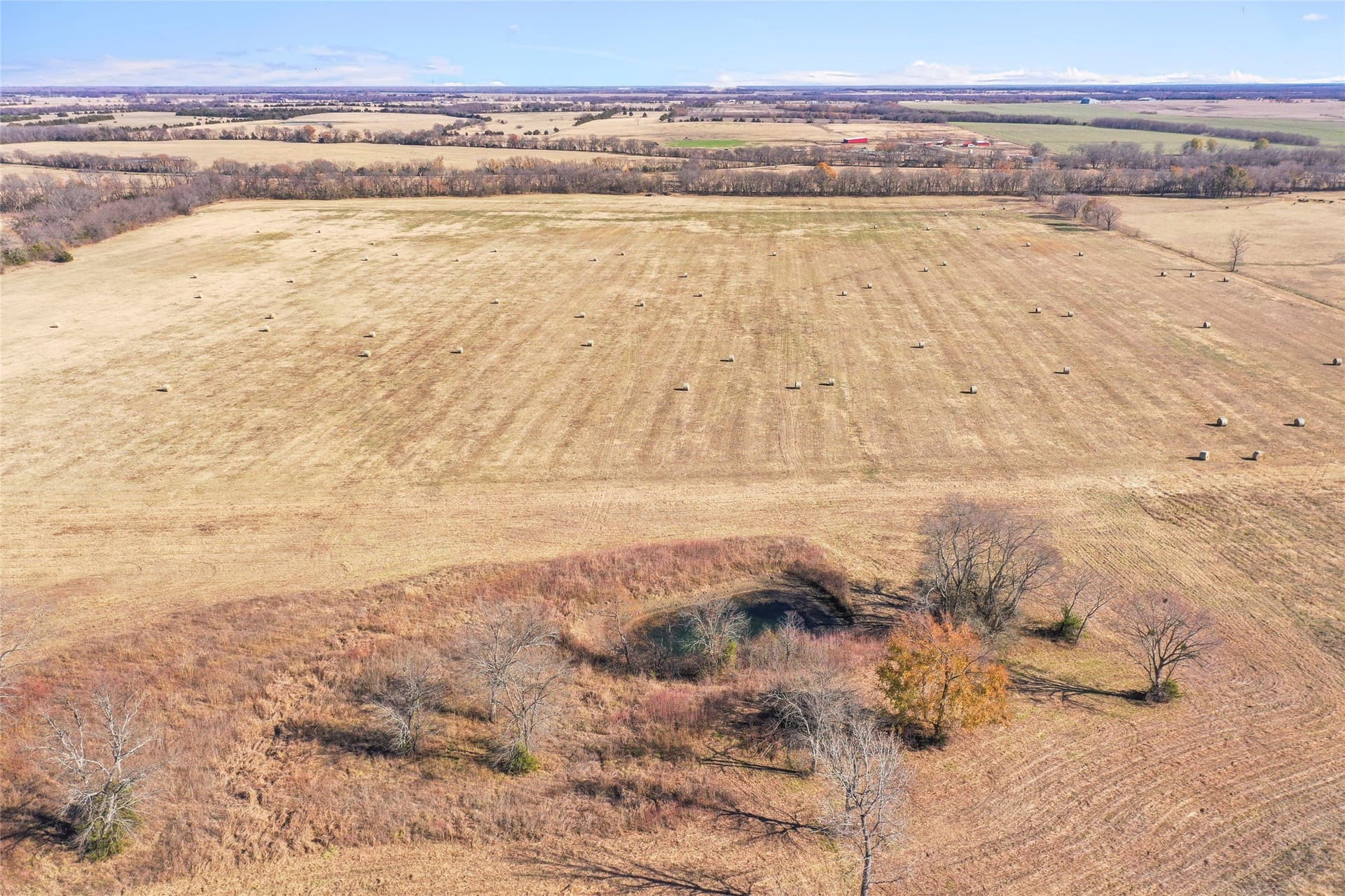 121.5 acres in Lamar County - photo 13