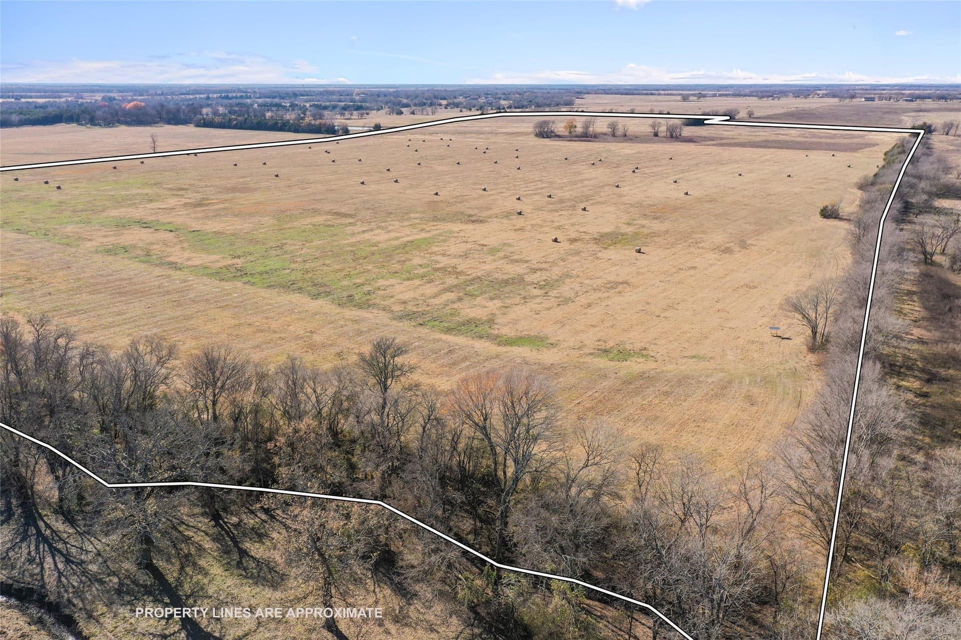 121.5 acres in Lamar County - photo 22
