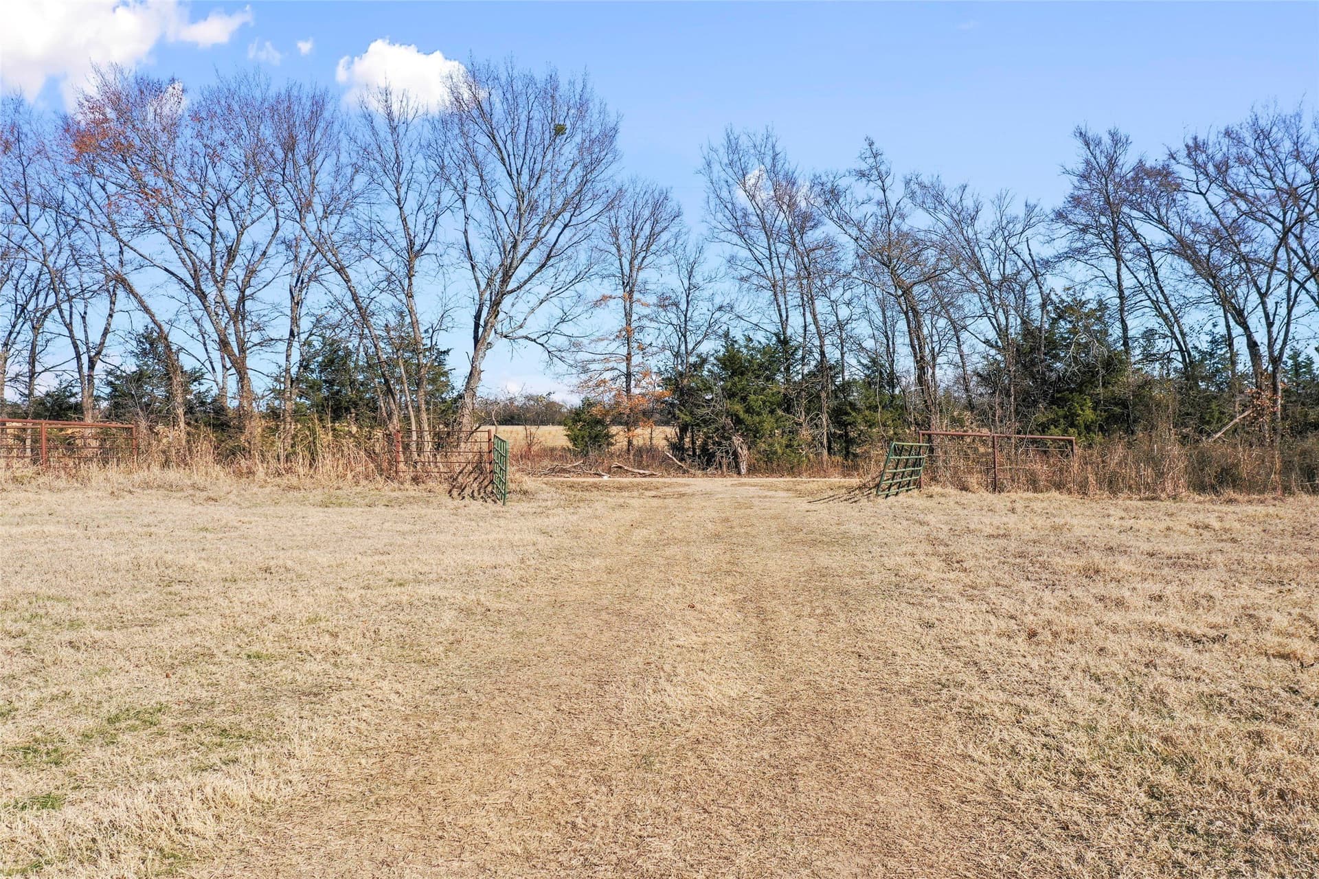 121.5 acres in Lamar County - photo 14