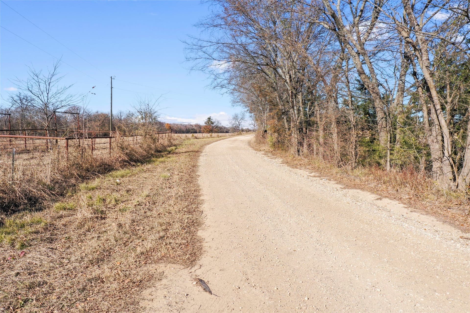121.5 acres in Lamar County - photo 32