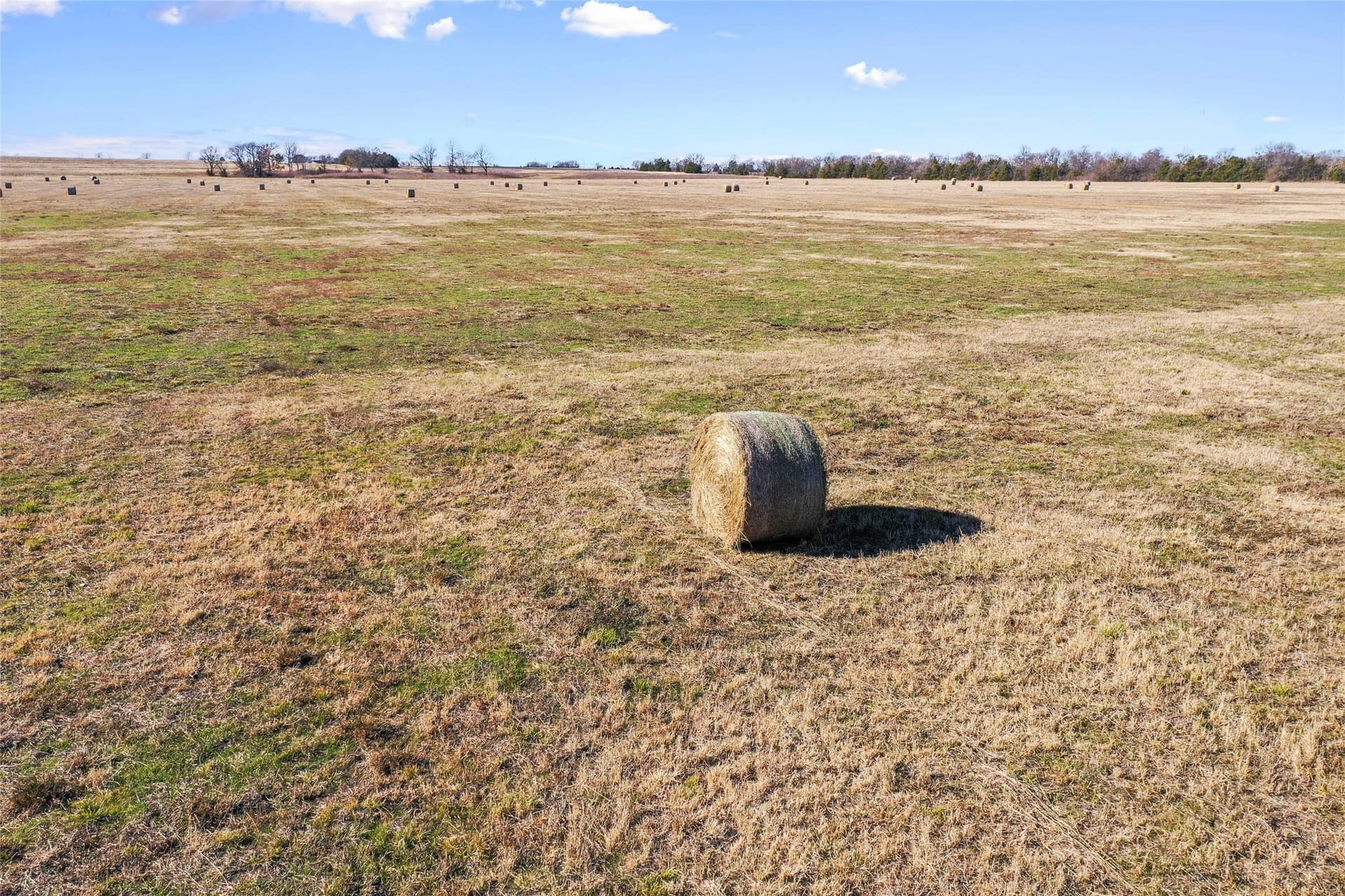 121.5 acres in Lamar County - photo 20