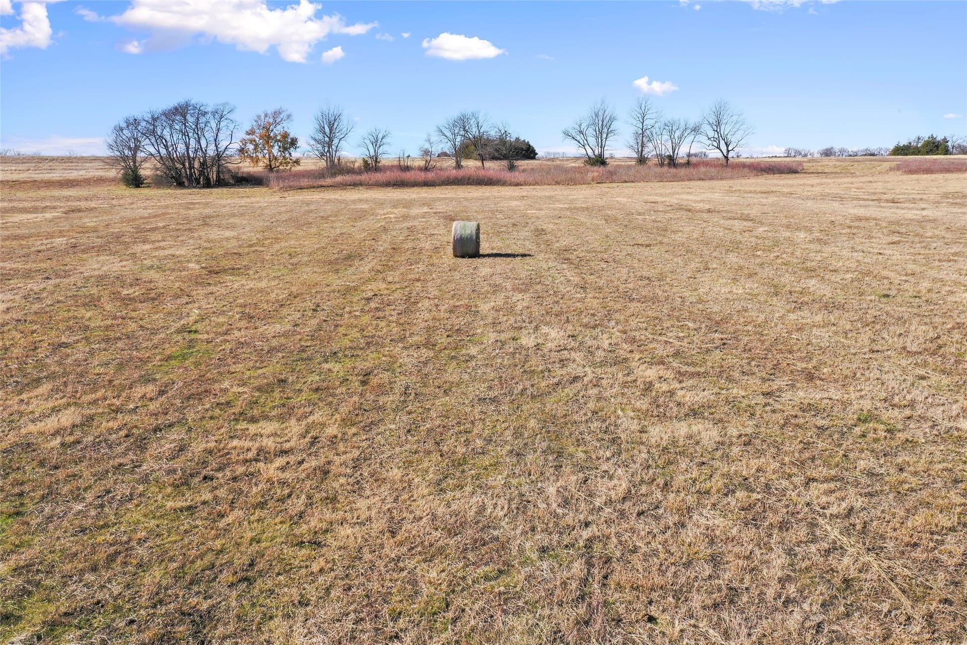 121.5 acres in Lamar County - photo 16