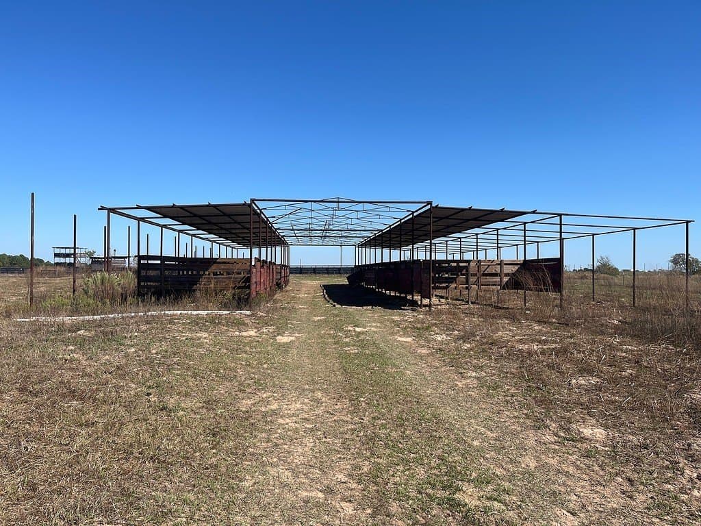 30.44 acres in Austin County gallery image 3
