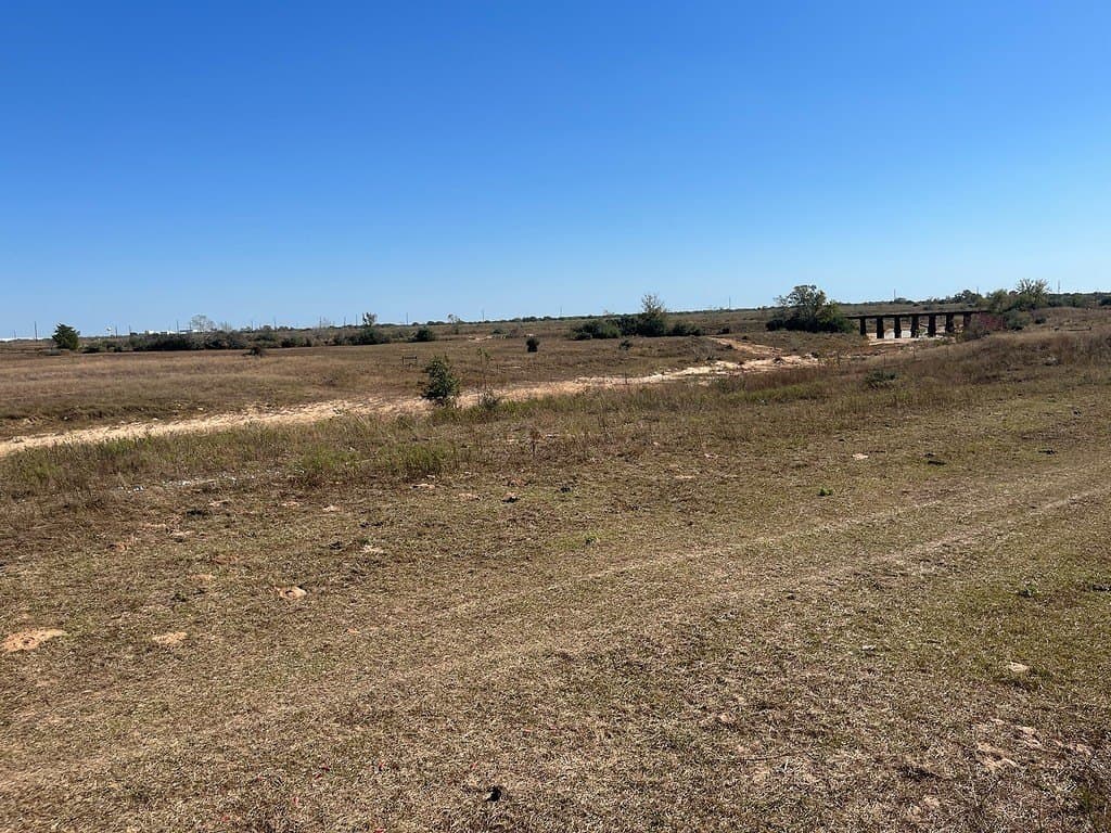 30.44 acres in Austin County gallery image 2