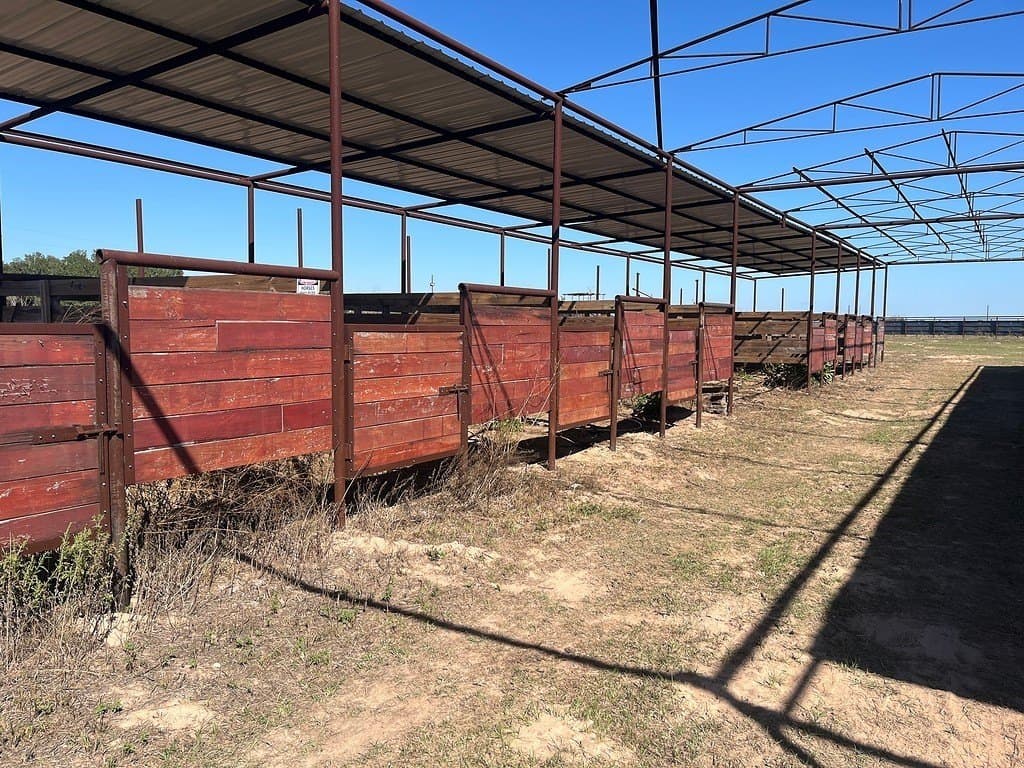 30.44 acres in Austin County gallery image 4