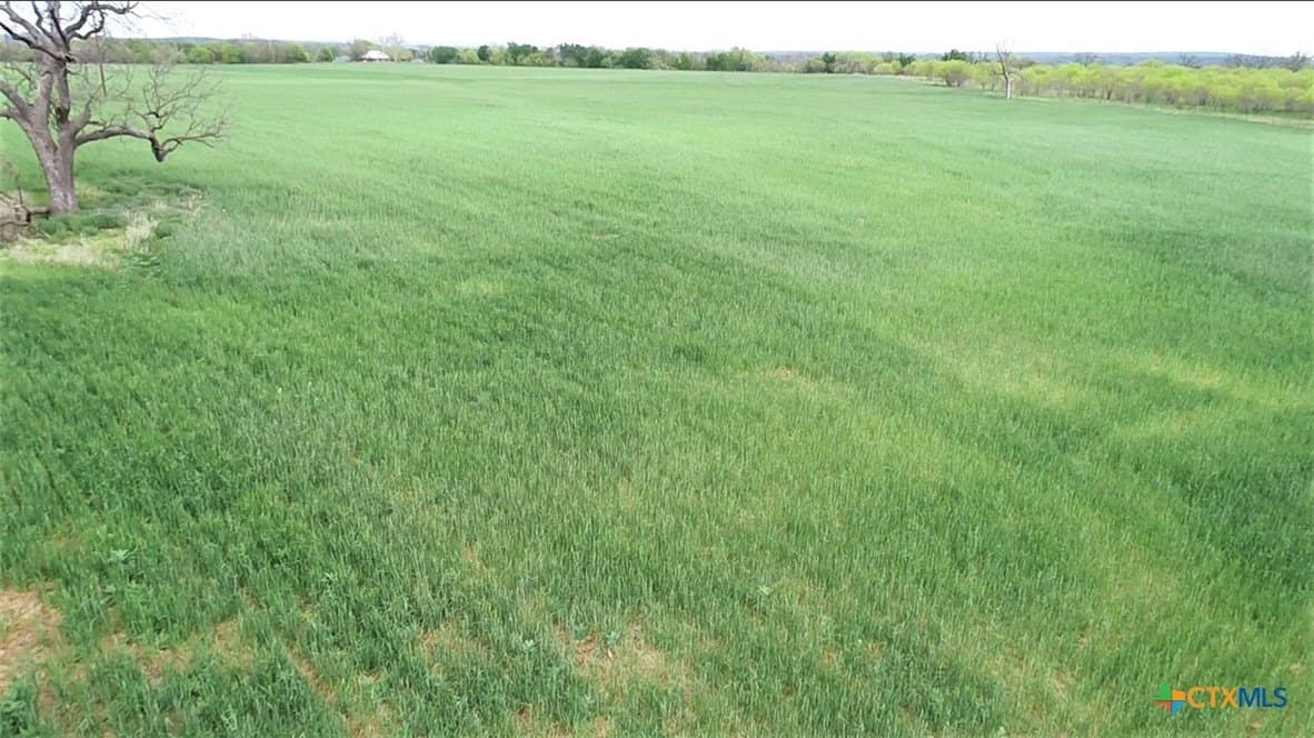 11 acres in Lampasas County - photo 4