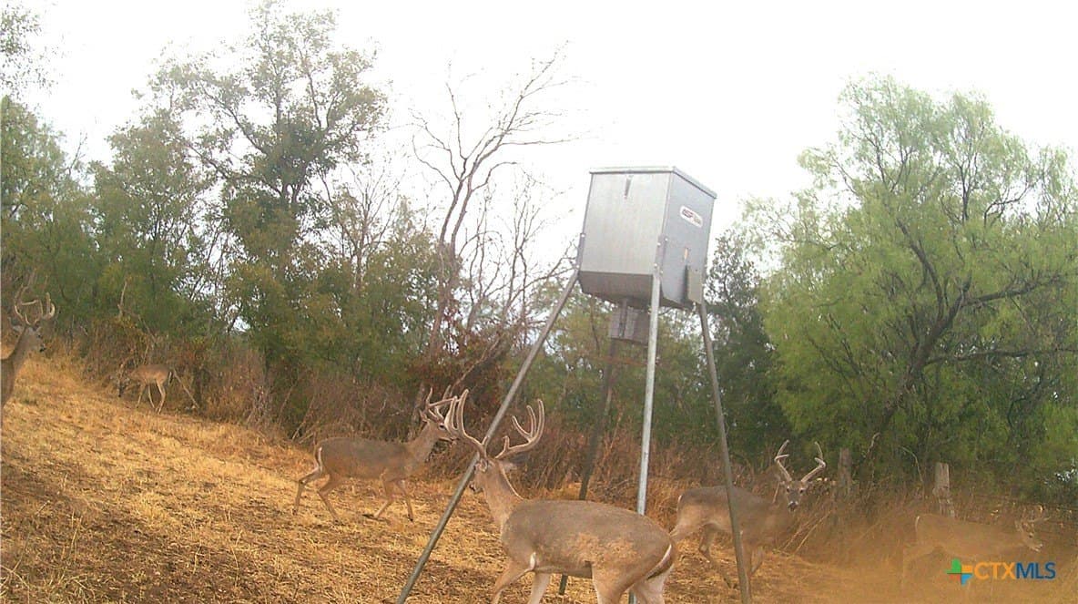 11 acres in Lampasas County - photo 2
