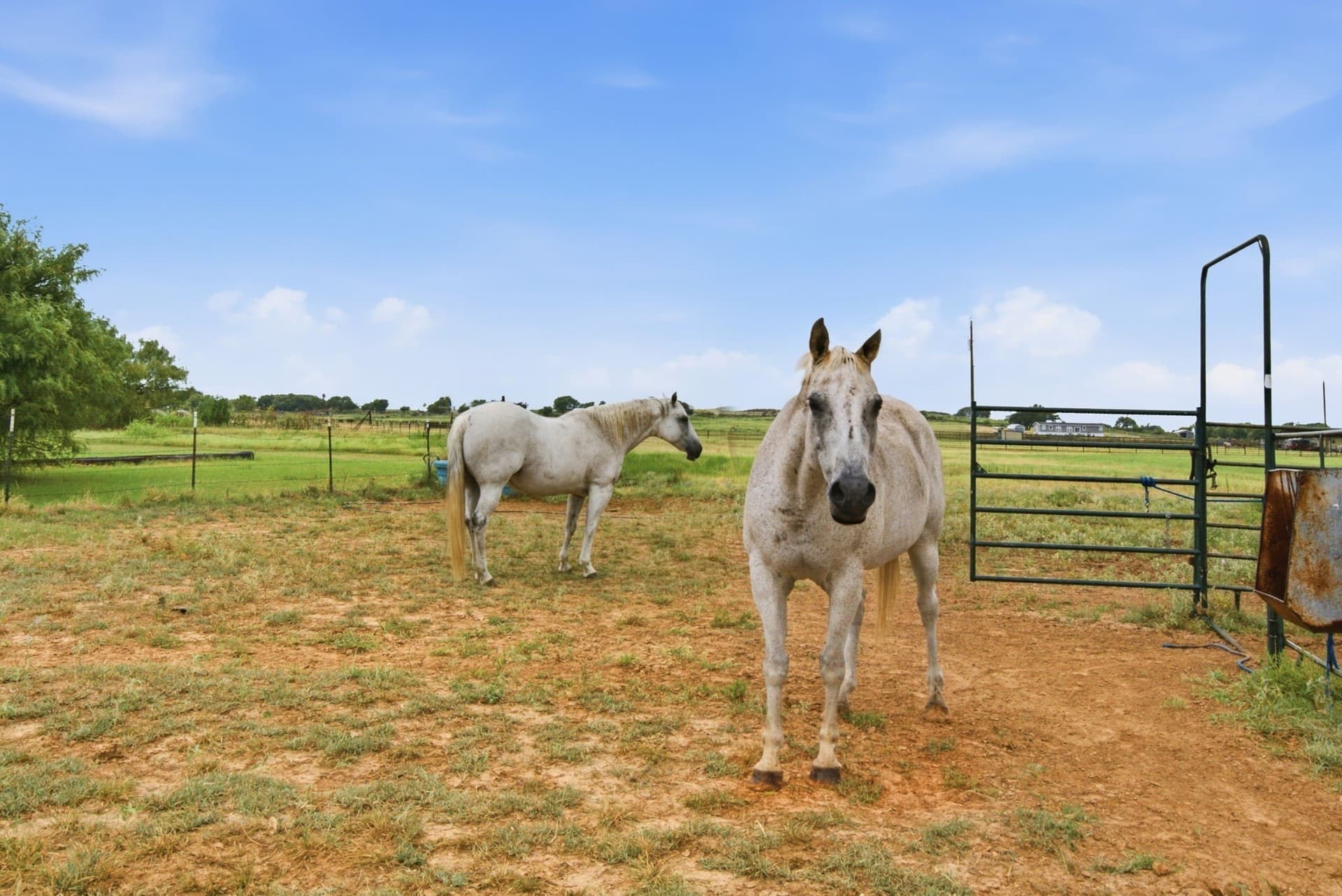 22.47 acres in Erath County - photo 36