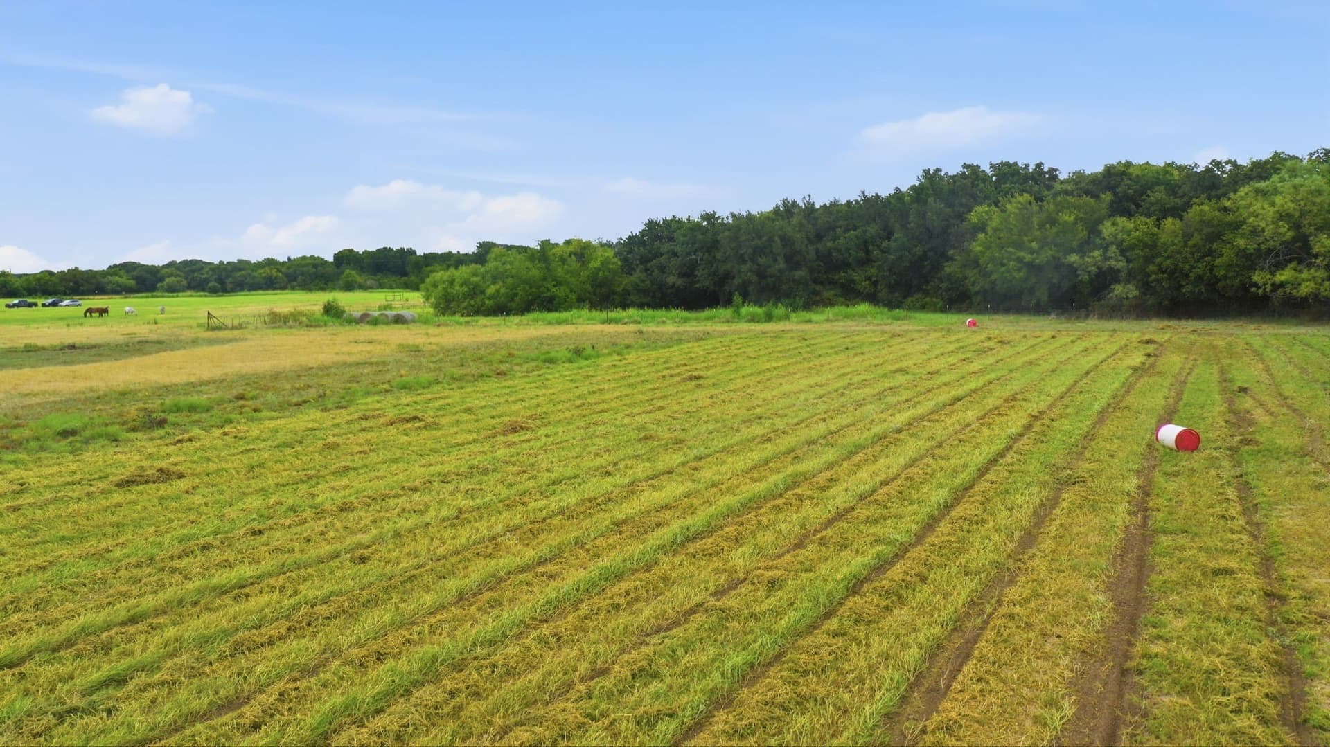 22.47 acres in Erath County - photo 9